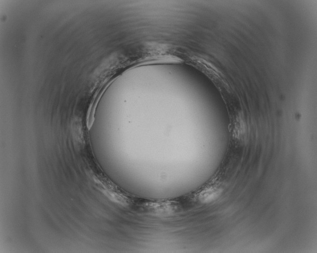 X0000068310524200605051534