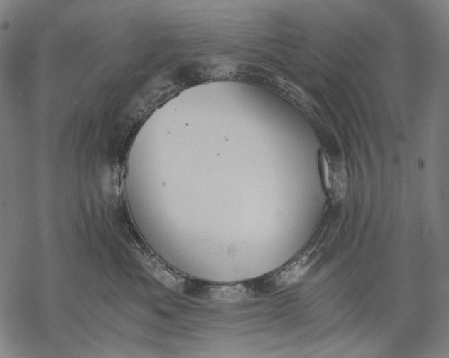 X0000068310525200605051534