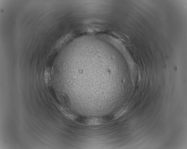 X0000068310527200605051534