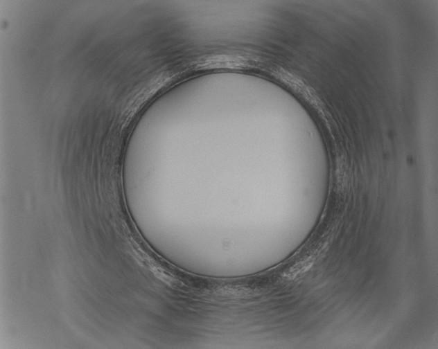 X0000068310529200605051533