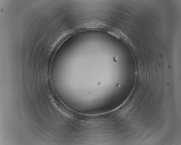 X0000068310530200605051533