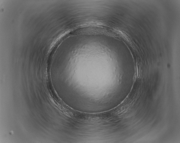 X0000068310531200605051533