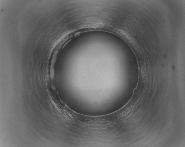 X0000068310532200605051533