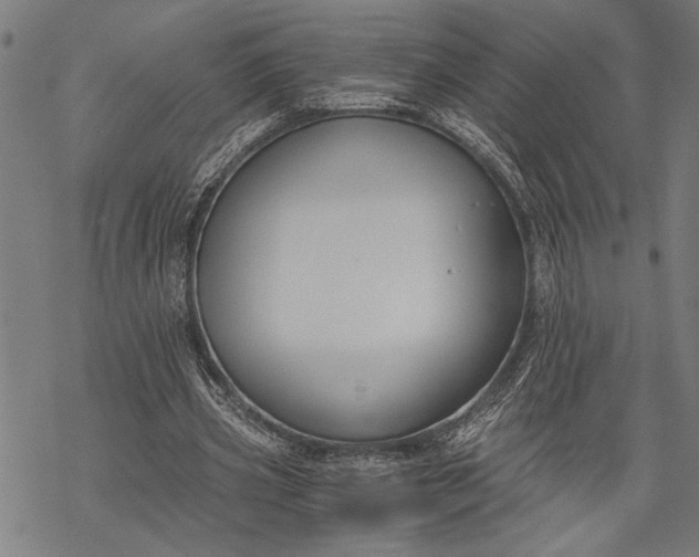 X0000068310533200605051533