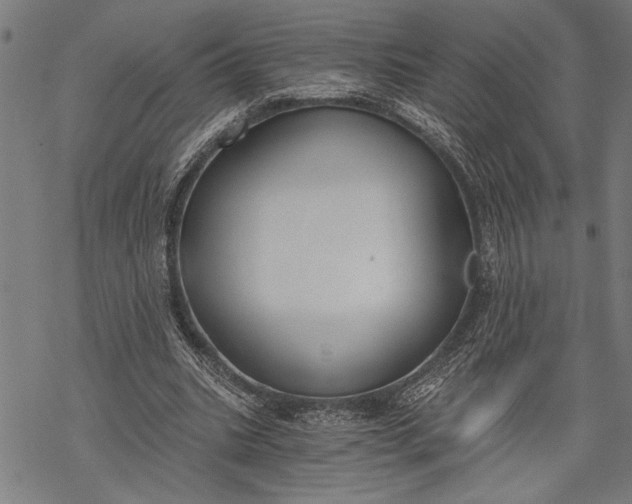 X0000068310535200605051533