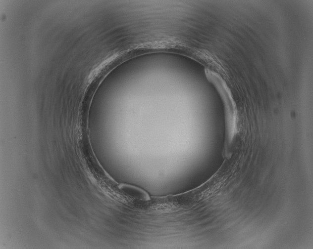 X0000068310536200605051533