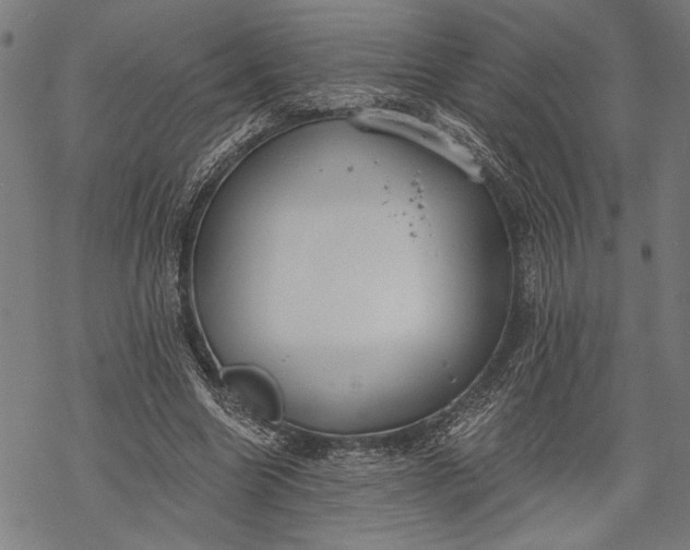 X0000068310538200605051533