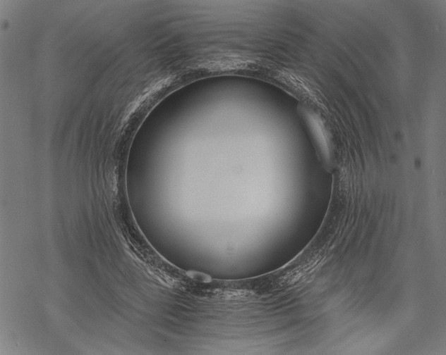 X0000068310539200605051533