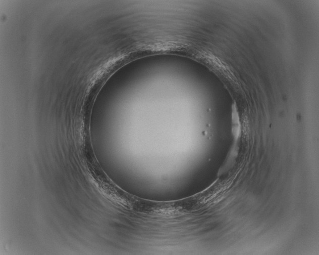 X0000068310540200605051533