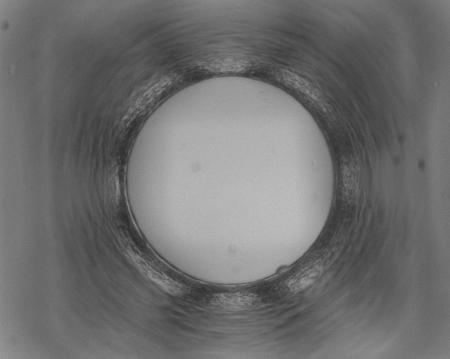 X0000068310541200605051533