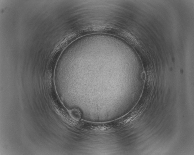 X0000068310542200605051533