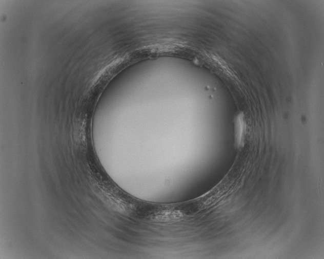 X0000068310543200605051533