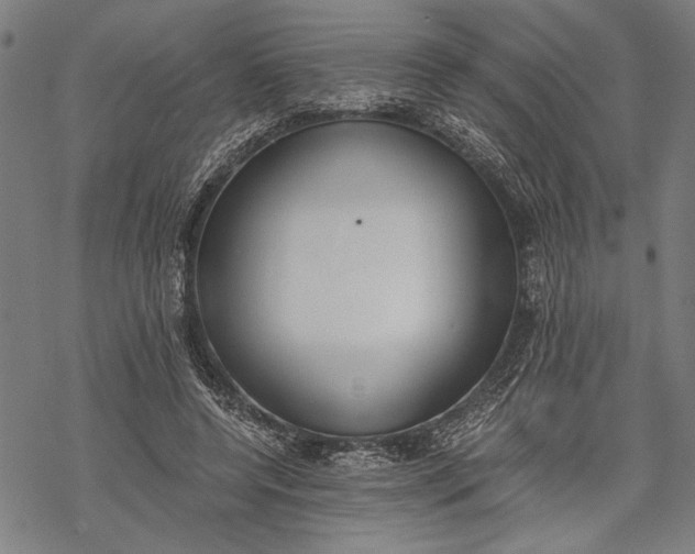 X0000068310544200605051533