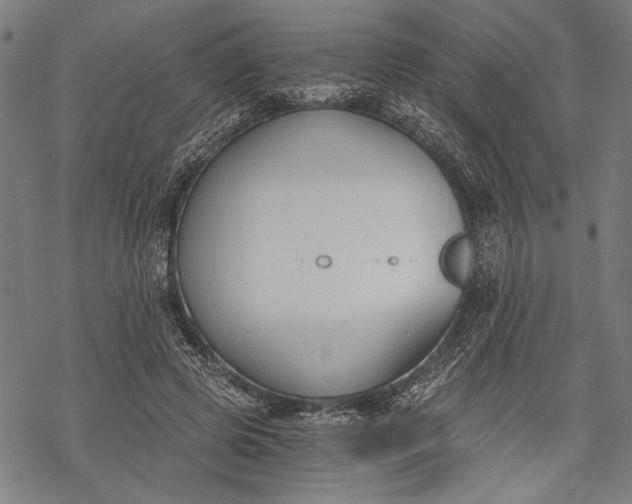 X0000068310545200605051533