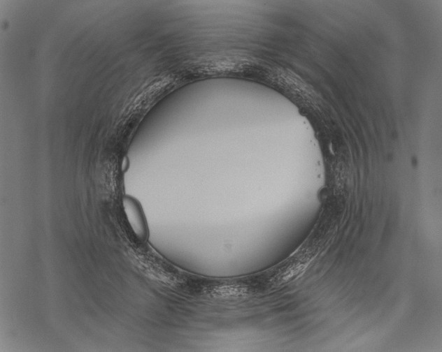 X0000068310546200605051533