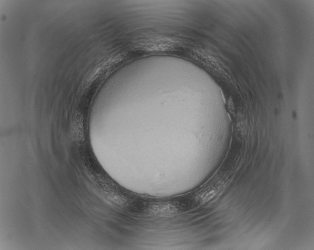 X0000068310547200605051533