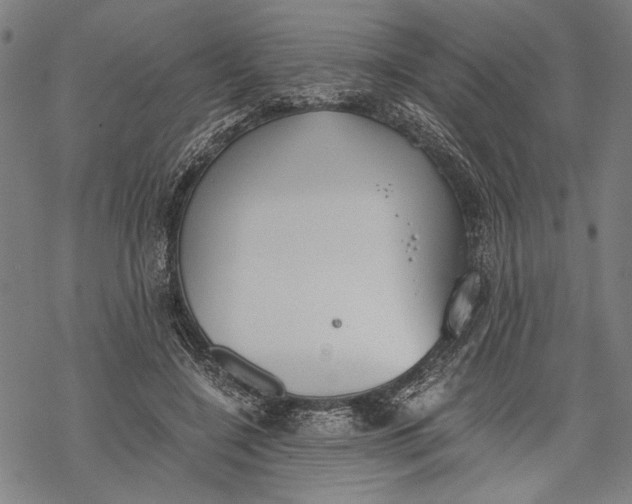 X0000068310548200605051533