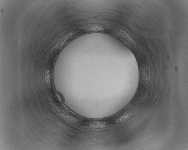 X0000068310549200605051533