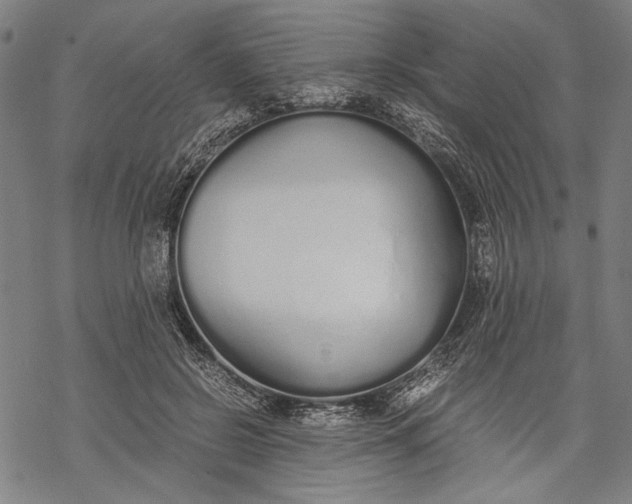 X0000068310550200605051533