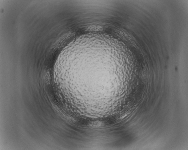 X0000068310551200605051533