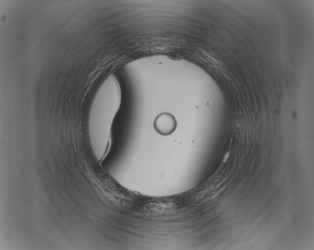 X0000068310552200605051533