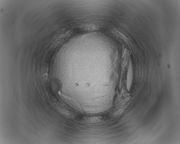 X0000068310553200605051533