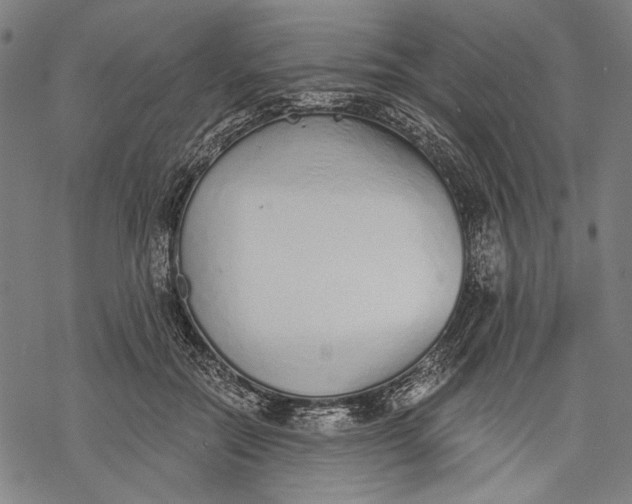 X0000068310554200605051533