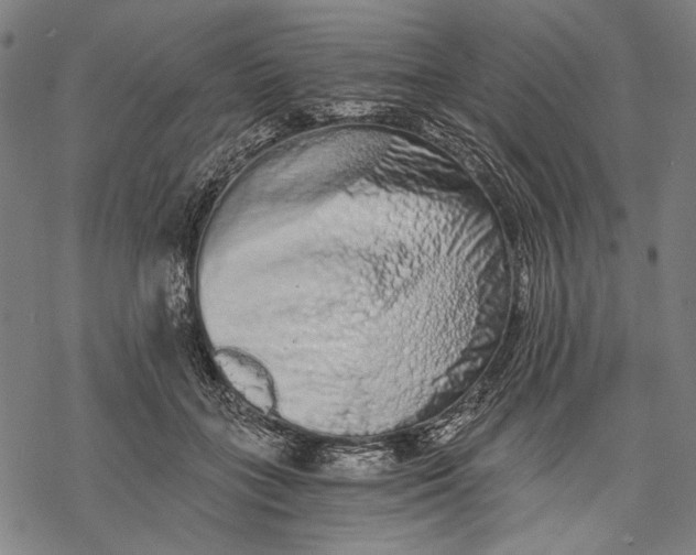 X0000068310555200605051533