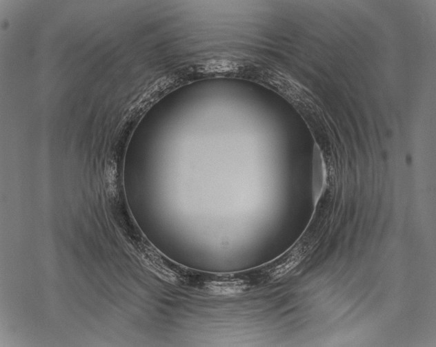 X0000068310556200605051533