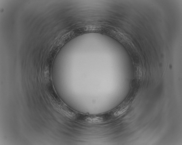 X0000068310557200605051533