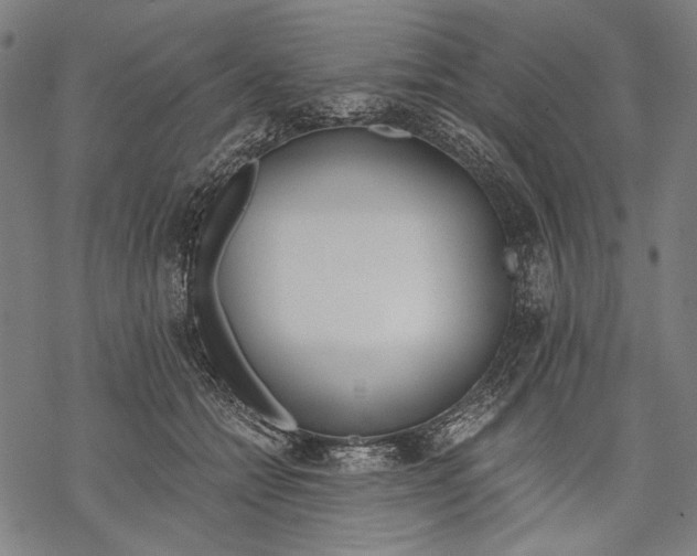 X0000068310558200605051534