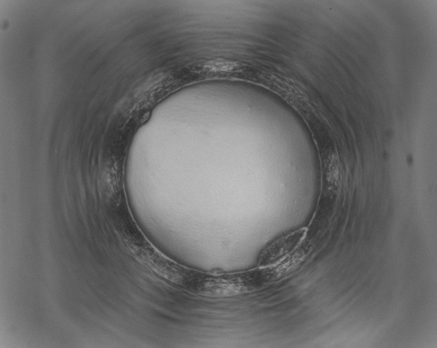 X0000068310559200605051534