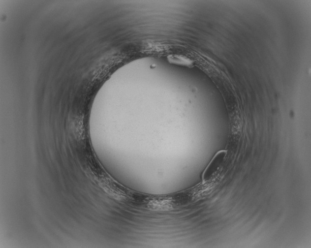 X0000068310560200605051534