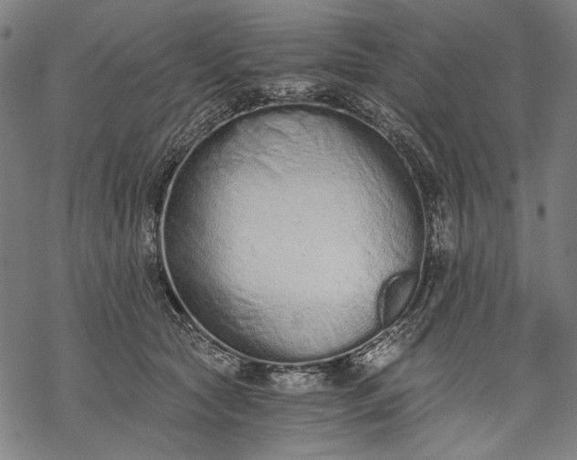 X0000068310561200605051534