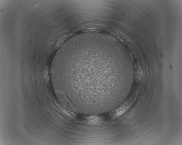 X0000068310562200605051534