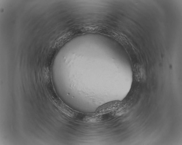 X0000068310563200605051534