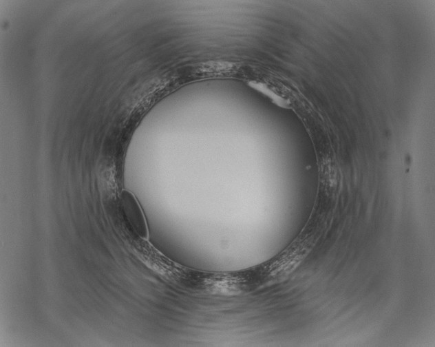 X0000068310564200605051534