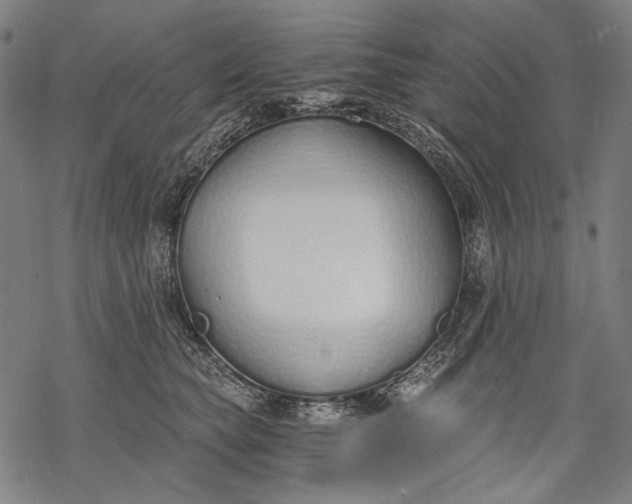 X0000068310565200605051534