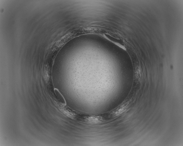 X0000068310566200605051534