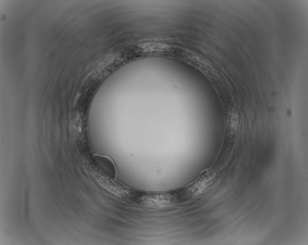 X0000068310567200605051534