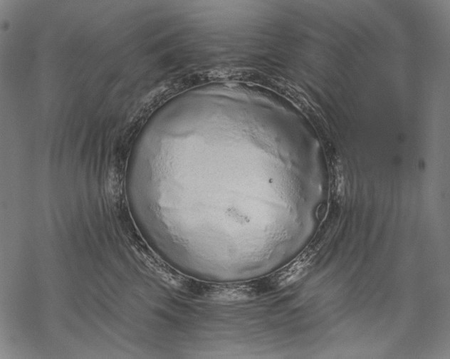 X0000068310569200605051534