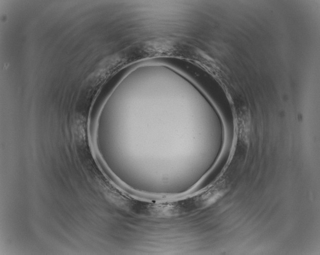 X0000068310570200605051534