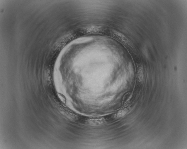 X0000068310571200605051534