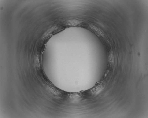 X0000068310572200605051534