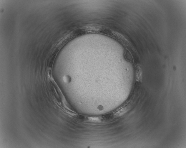 X0000068310573200605051534