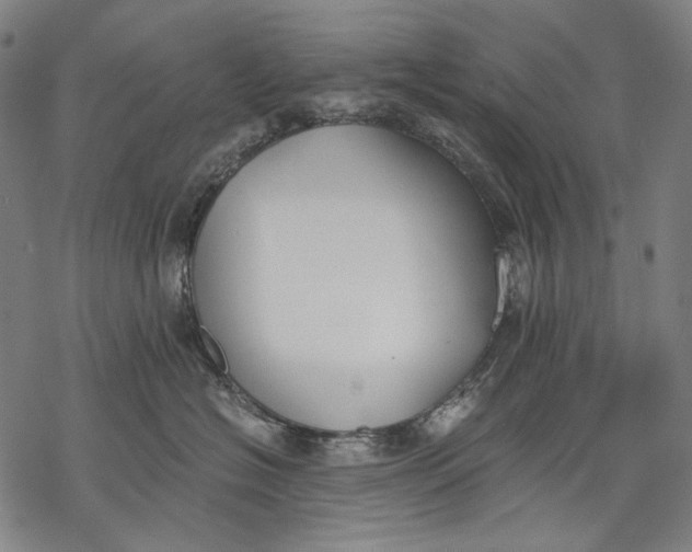 X0000068310574200605051534