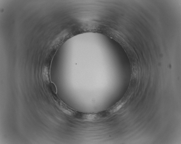 X0000068310575200605051534