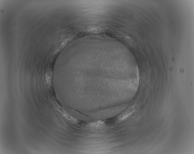 X0000068310576200605051534