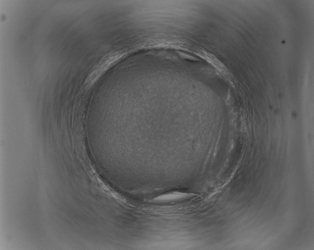 X0000068310577200605051533