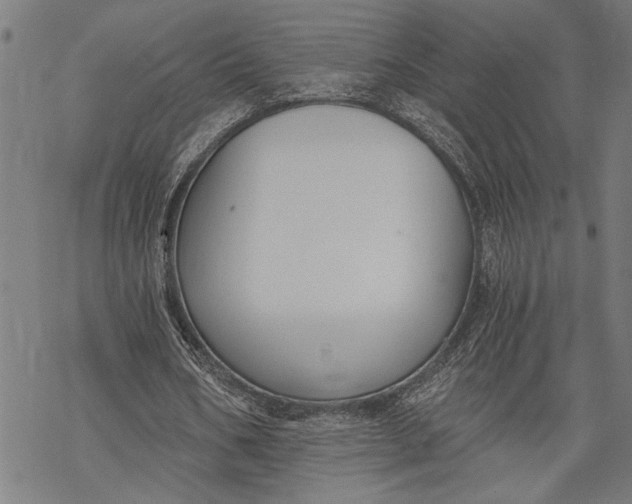 X0000068310578200605051533